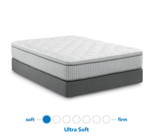 Latex Mattresses Knoxville Bed R Mattress Estlanade Euro Top